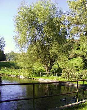 Luftkurort Egloffstein: Chaleau Weiher - Karpfenteich im Kurgarten