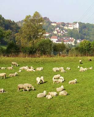 Luftkurort Egloffstein: Schäferidylle im Bärental